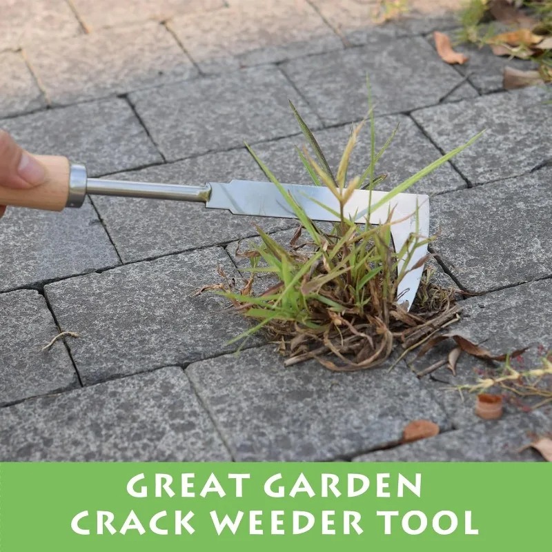 Stainless Steel Gap Weeding To - Gardening Tools Used For Weeding ulasan dan harga