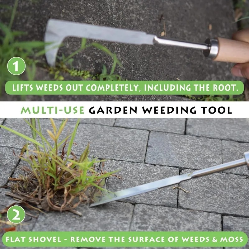 Stainless Steel Gap Weeding To - Gardening Tools Used For Weeding ulasan dan harga
