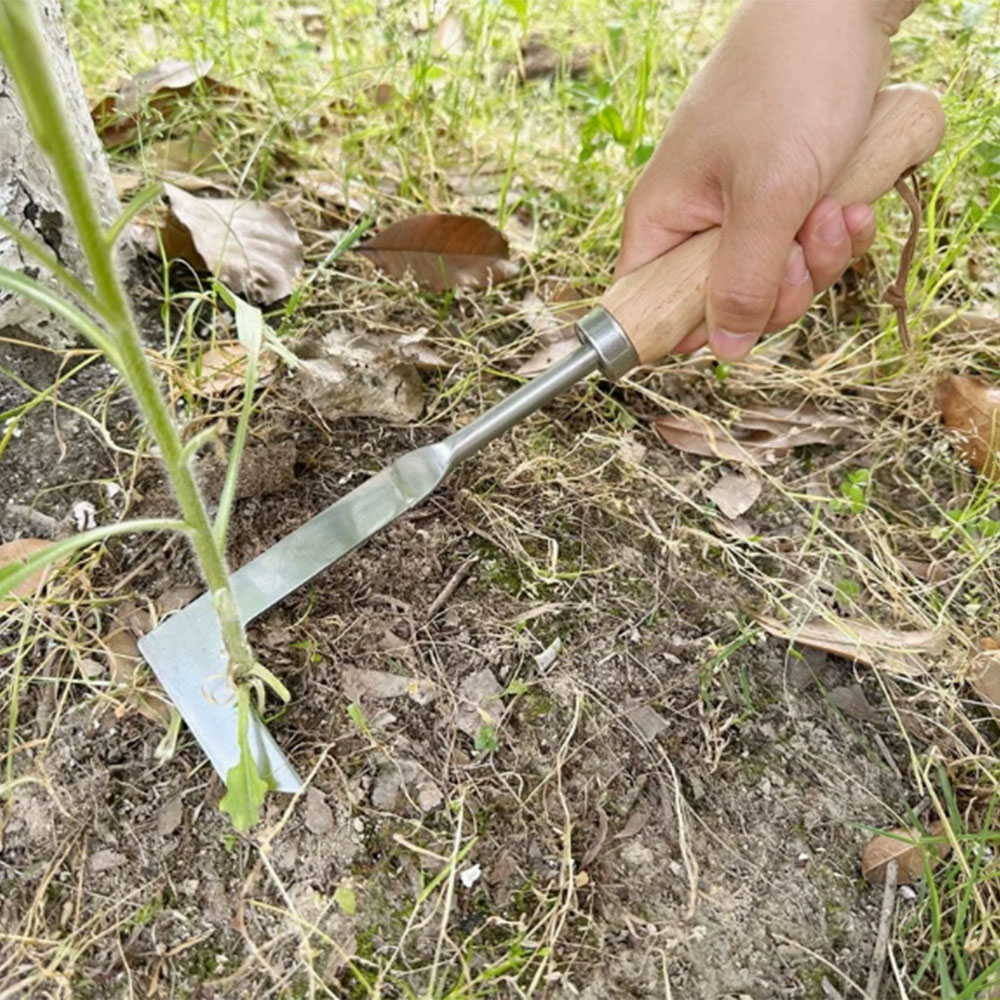 Stainless Steel Gap Weeding To - Gardening Tools Used For Weeding ulasan dan harga