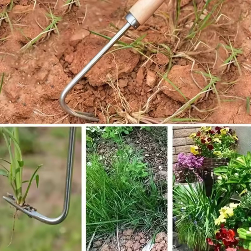 Stainless Steel Gap Weeding To - Gardening Tools Used For Weeding ulasan dan harga