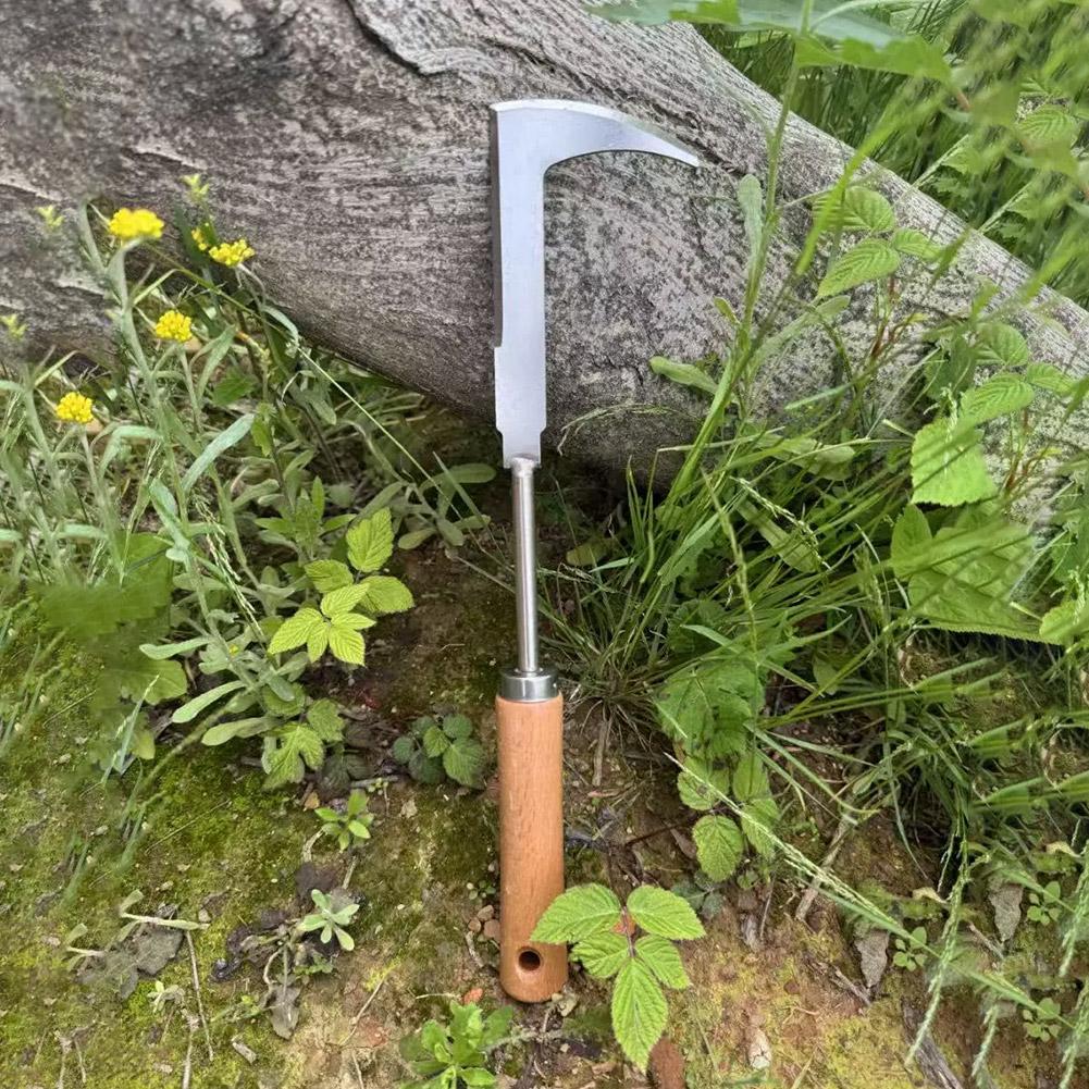 Stainless Steel Gap Weeding To - Gardening Tools Used For Weeding ulasan dan harga