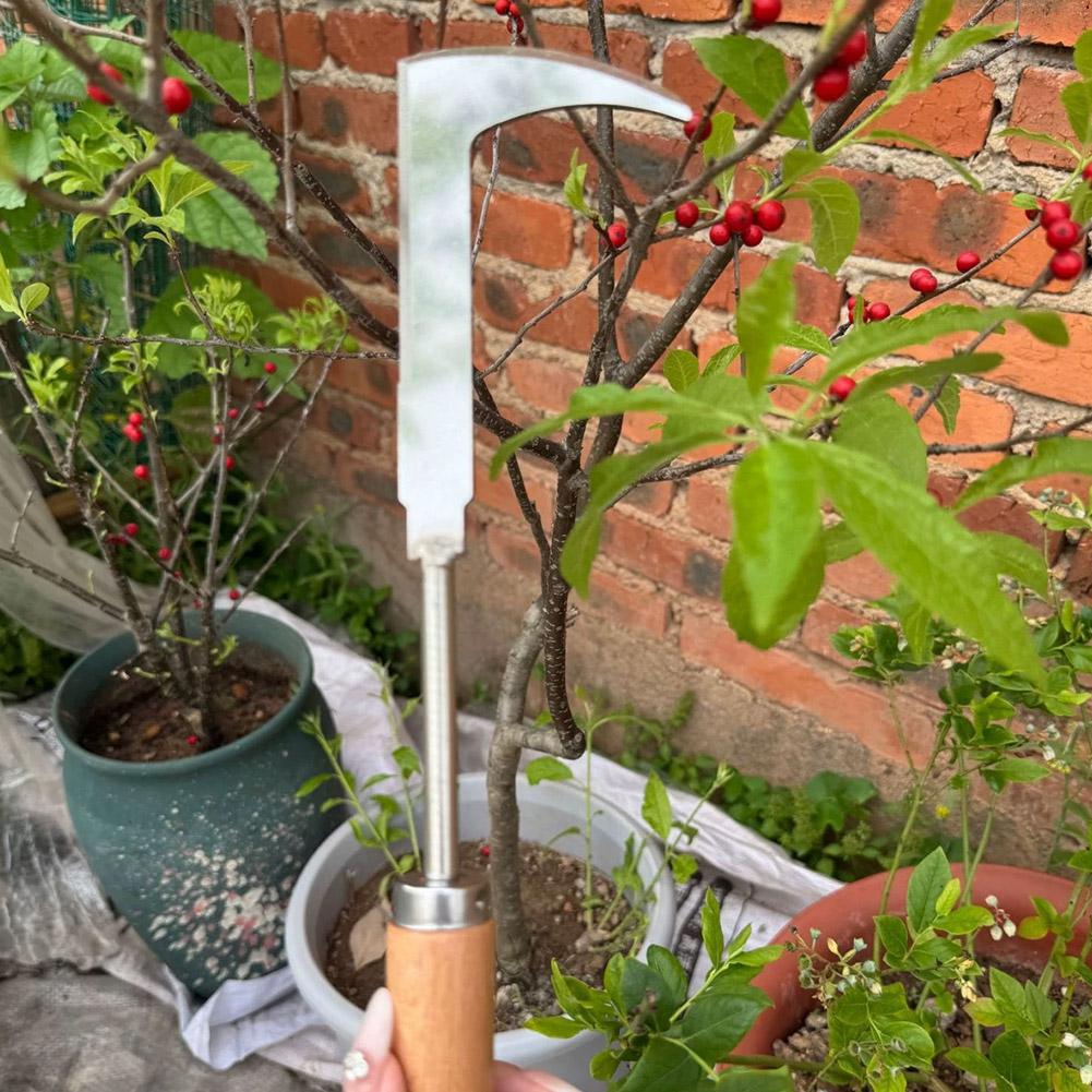 Stainless Steel Gap Weeding To - Gardening Tools Used For Weeding ulasan dan harga