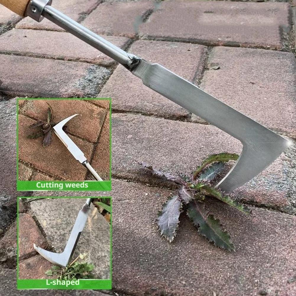 Stainless Steel Gap Weeding To - Gardening Tools Used For Weeding ulasan dan harga