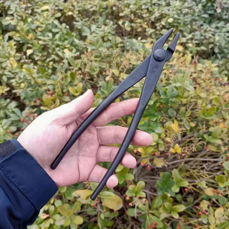 Thick Branch Shears 200MM Bons - Gardening Tools Drawing ulasan dan harga