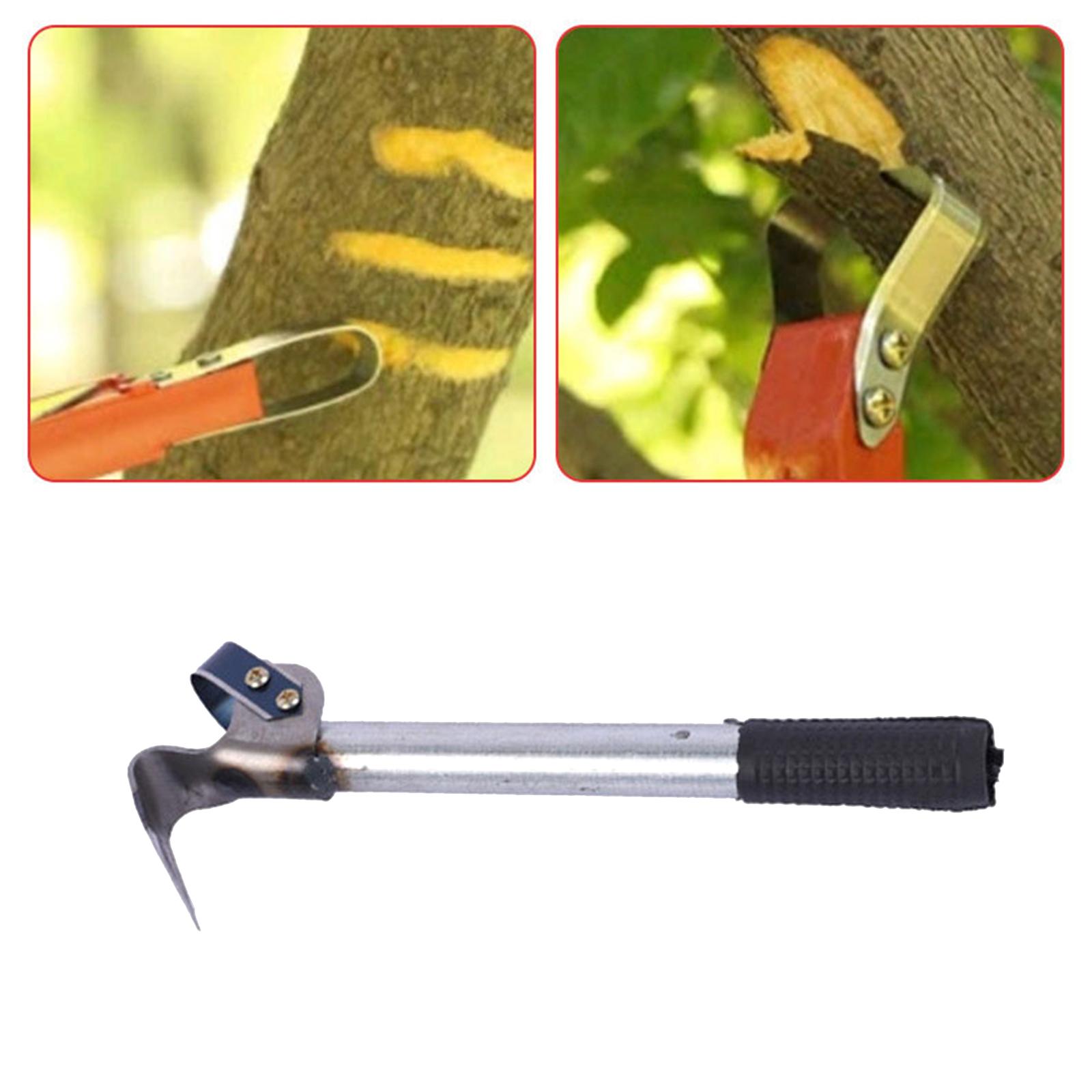 Barks Removal Tool Barks Compa - Gardening Tools Drawing ulasan dan harga