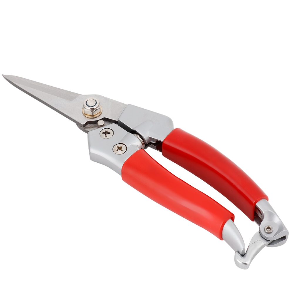 Plant Pruning Shears Straight  - Pruning Shears ulasan dan harga