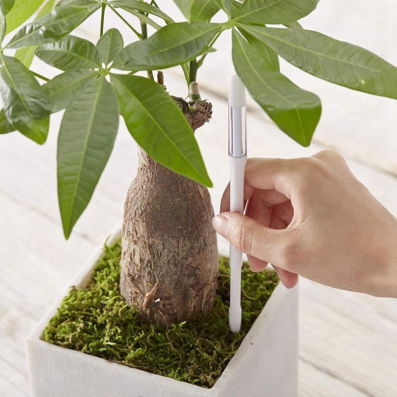 Aquameter, 5pcs, Plant Soil Mo - Moisture Meter Plant ulasan dan harga