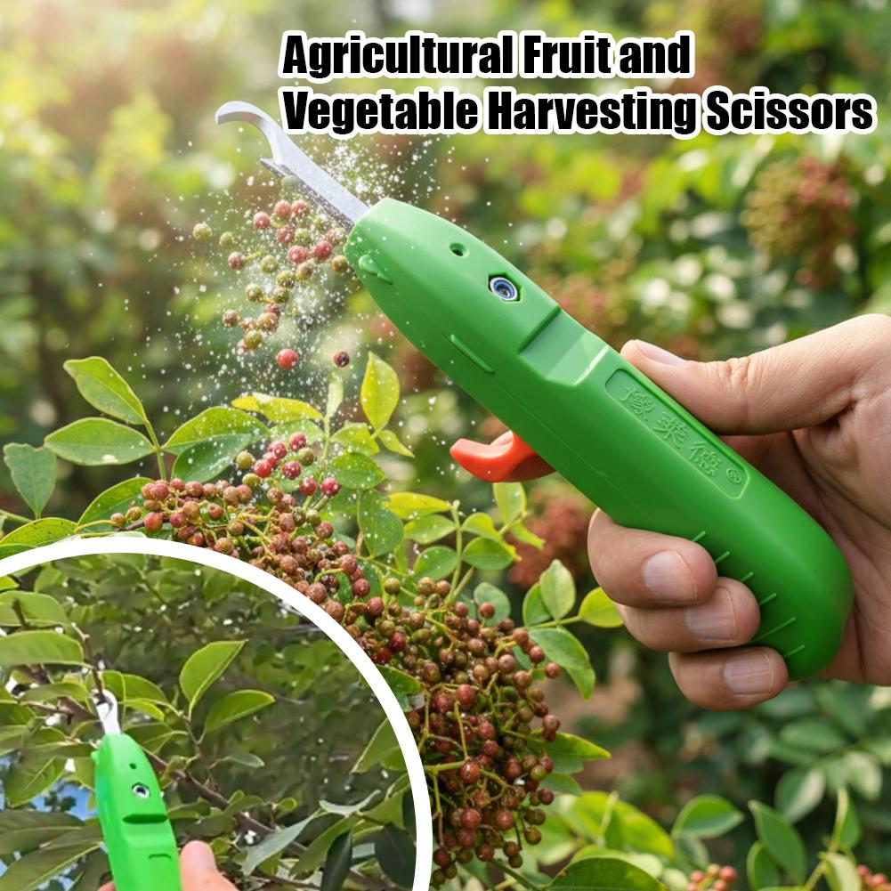 Fruit And Vegetable Picking Sh - Essential Gardening Tools ulasan dan harga
