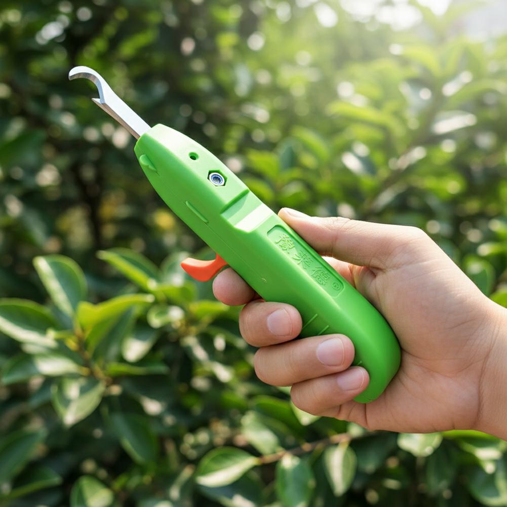 Fruit And Vegetable Picking Sh - Essential Gardening Tools ulasan dan harga