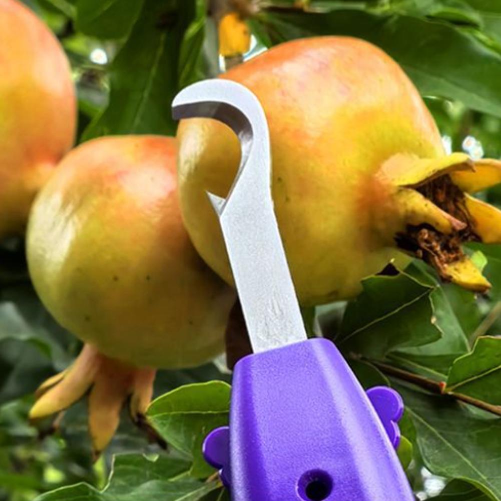 Handheld Berry Picking Tool Er - Gardening Tools Cutter ulasan dan harga