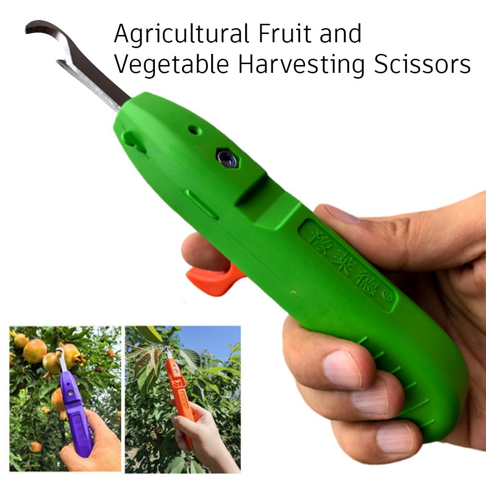 Handheld Berry Picking Tool Er - Gardening Tools Cutter ulasan dan harga