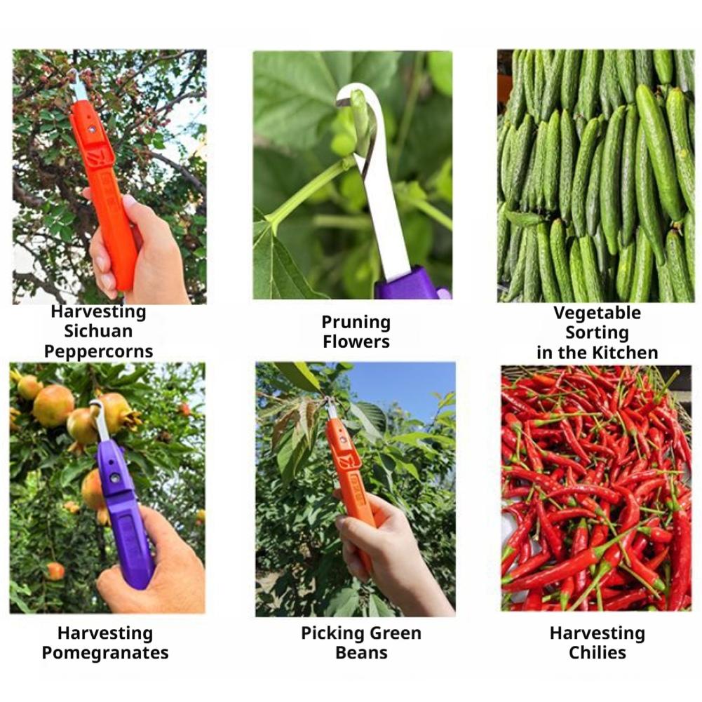 Handheld Berry Picking Tool Er - Gardening Tools Cutter ulasan dan harga