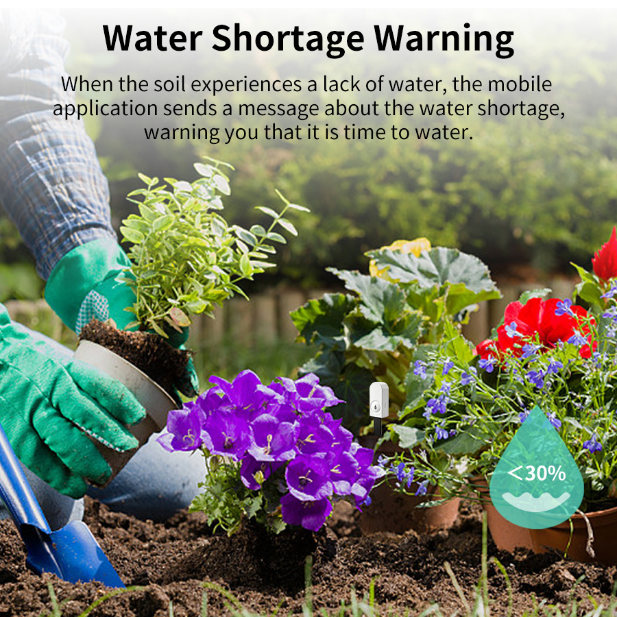 Smart ZigBee Soil Moisture Sen - Moisture Meter Plant ulasan dan harga