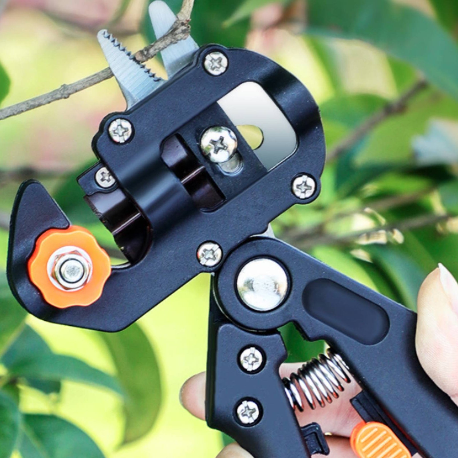 Pruning Grafting Shears 2 in 1 - Pruning Shears ulasan dan harga