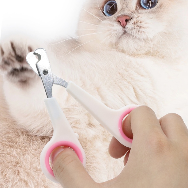 Pet Nail Dog Nail Clippers Sci - Essential Gardening Tools ulasan dan harga
