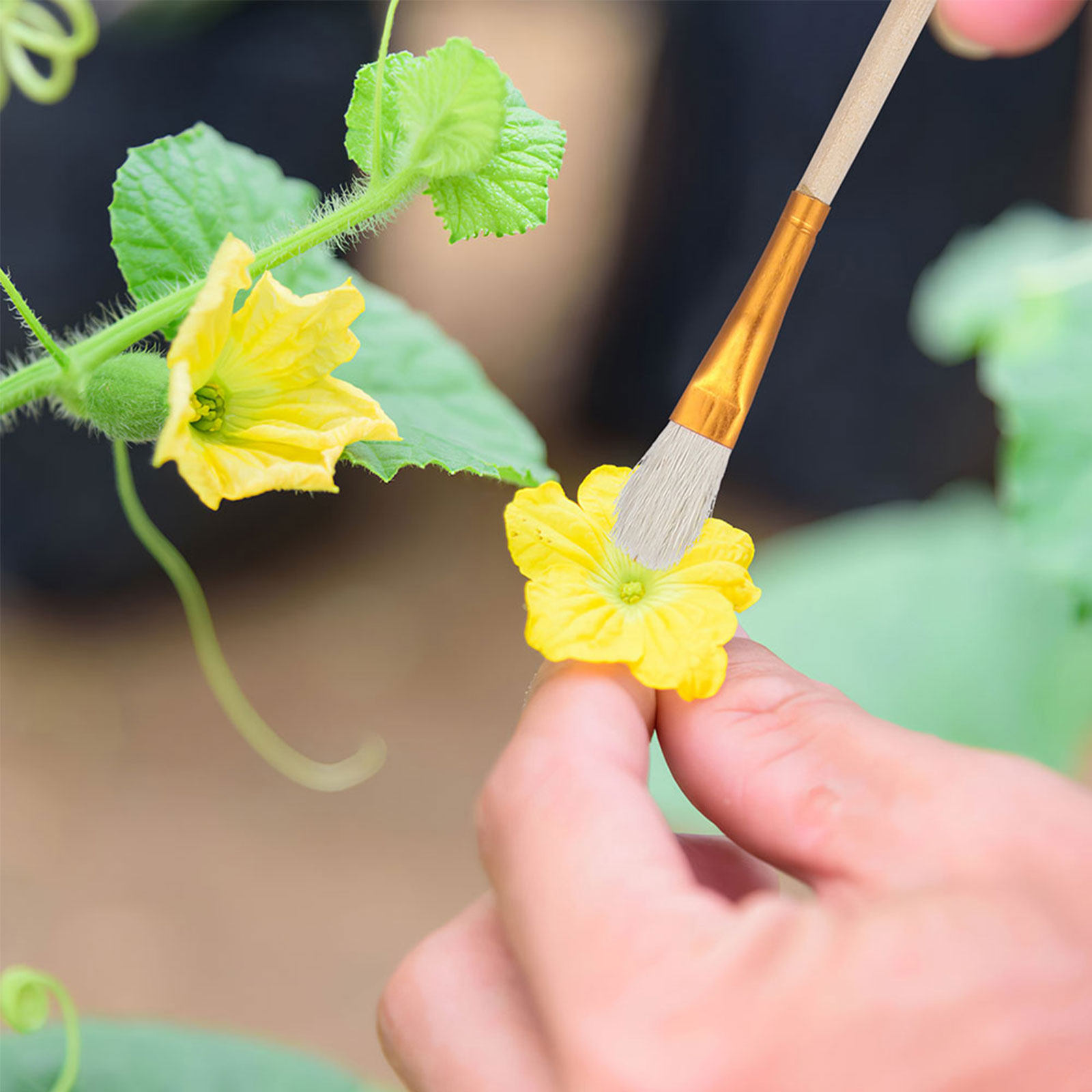 16Pcs Flower Pollinator Brush  - Gardening Tools Kit ulasan dan harga
