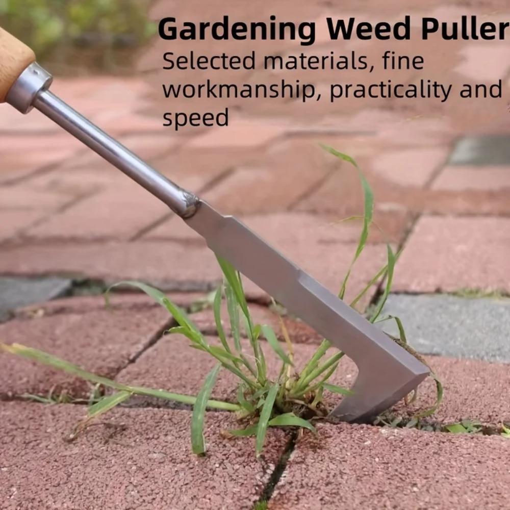 Stainless steel gap weeding to - Gardening Tools Used For Weeding ulasan dan harga