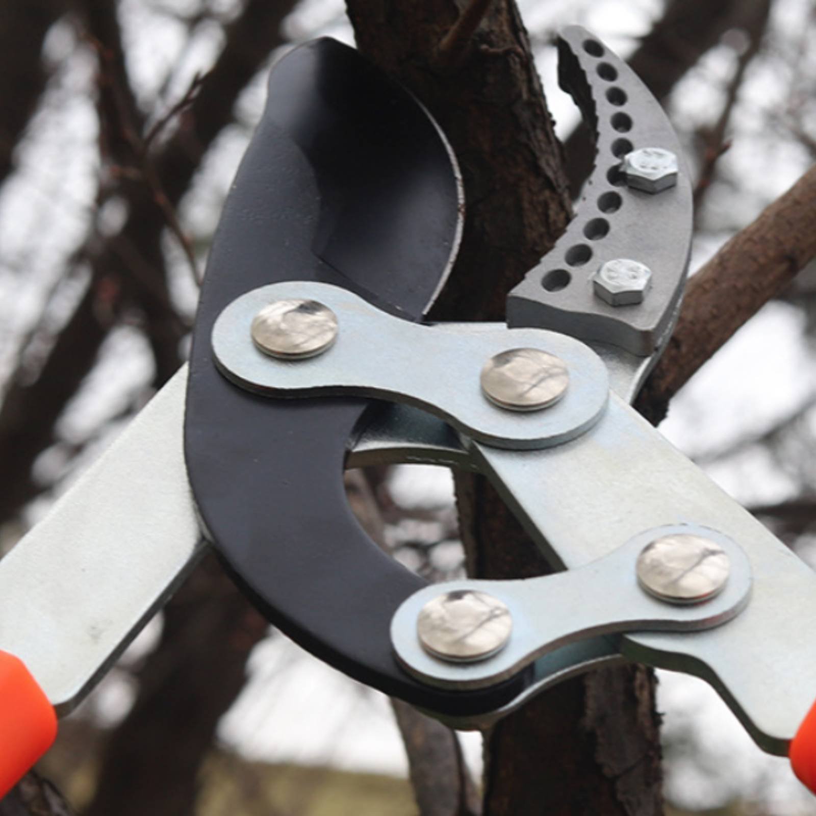 Telescopic Branch Pruners Shar - Pruning Shears ulasan dan harga