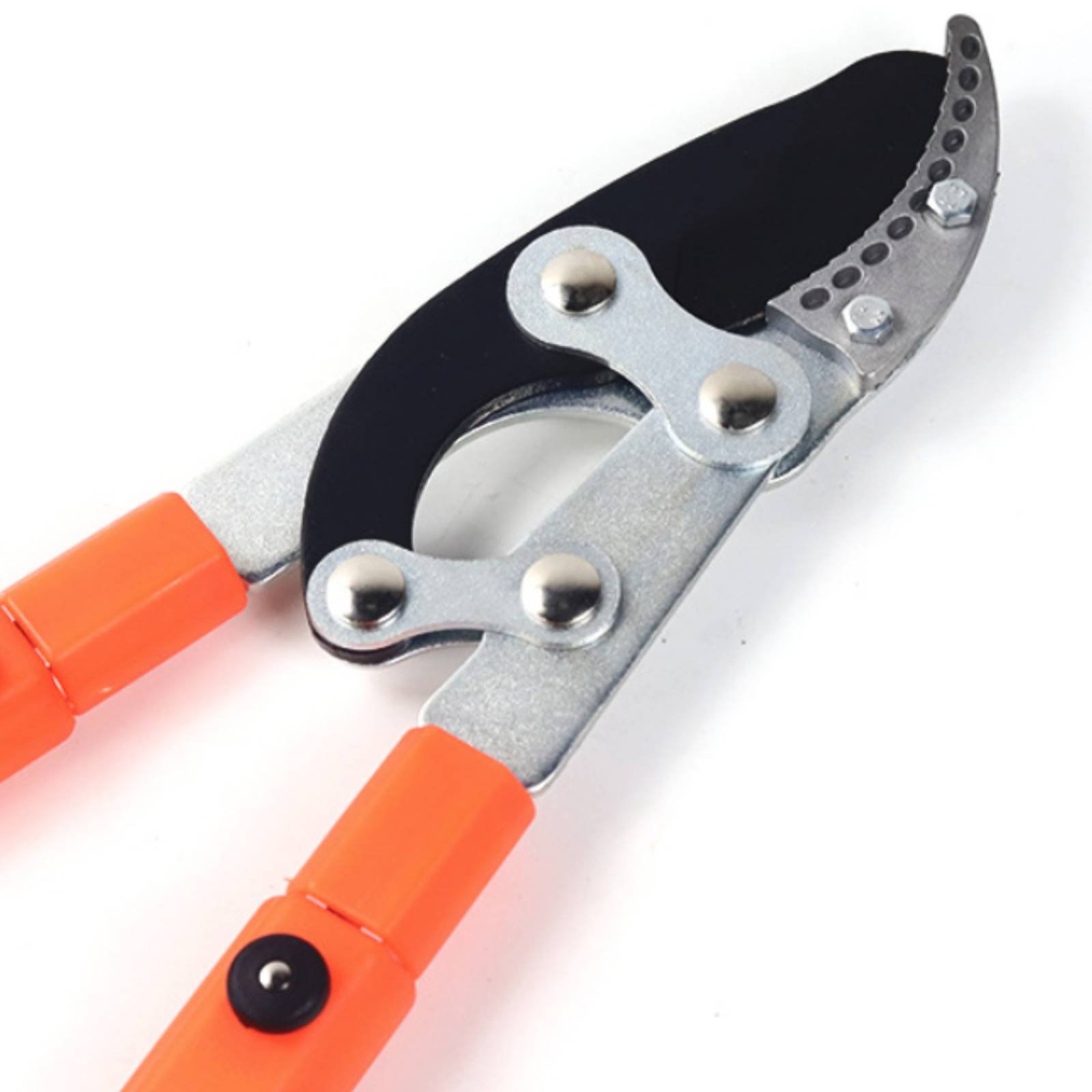 Telescopic Branch Pruners Shar - Pruning Shears ulasan dan harga