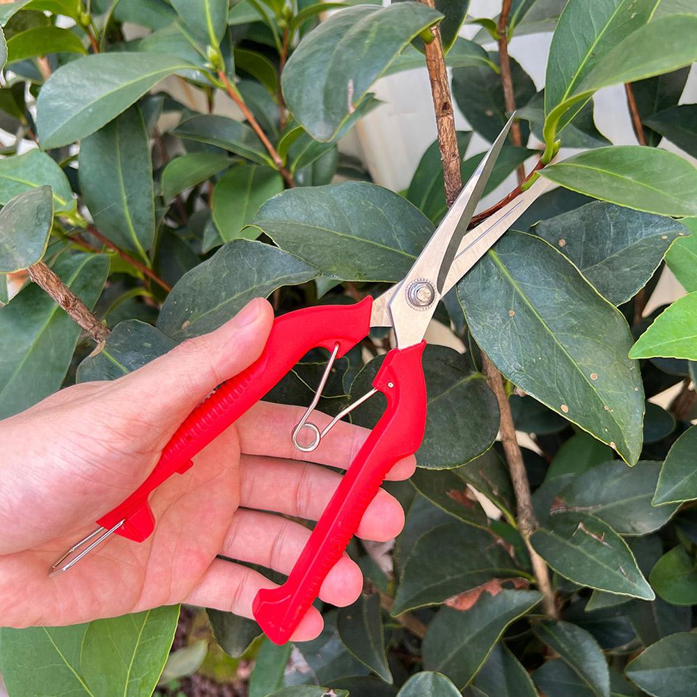 Pro Garden Pruning Shears Leng - Essential Gardening Tools ulasan dan harga