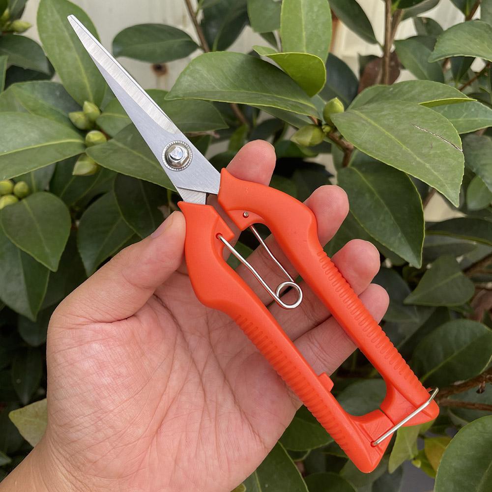 Pro Garden Pruning Shears Leng - Essential Gardening Tools ulasan dan harga