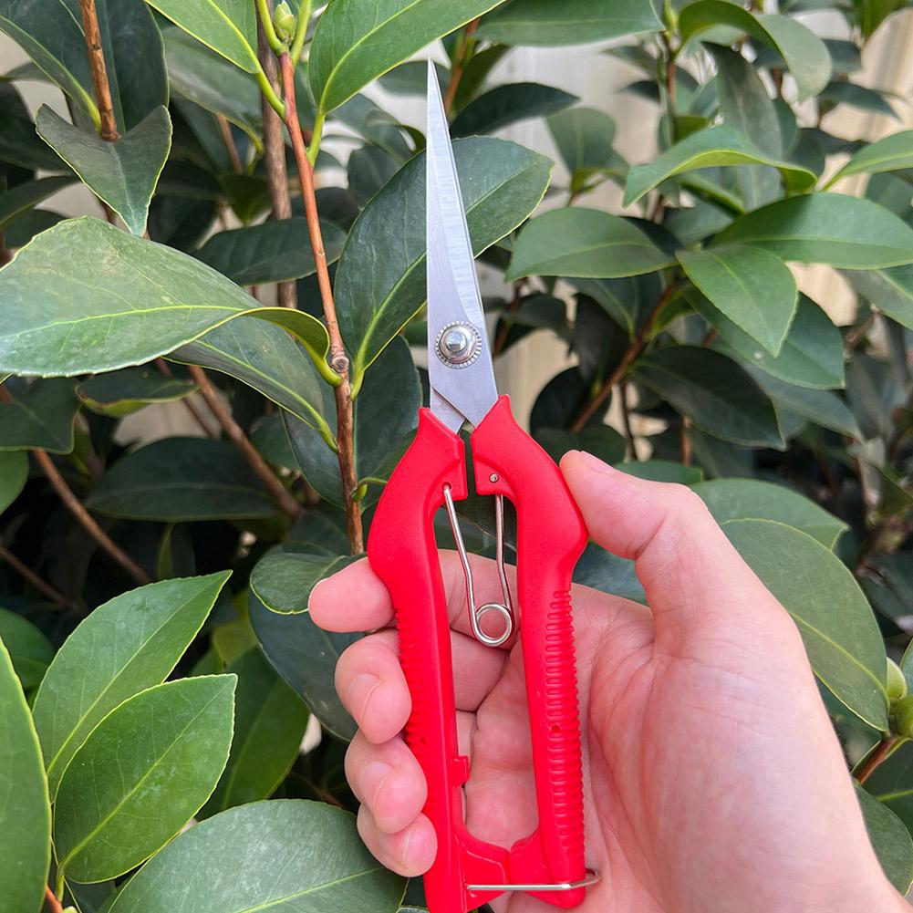 Pro Garden Pruning Shears Leng - Essential Gardening Tools ulasan dan harga