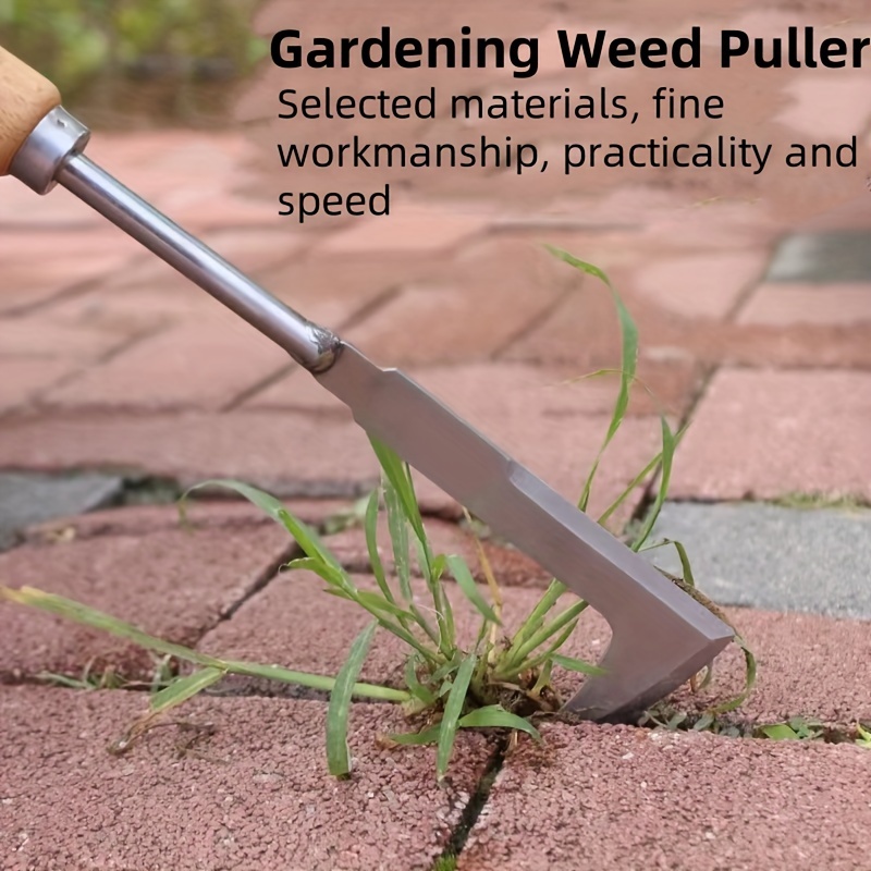 Stainless Steel Gap Weeding To - Gardening Tools Used For Weeding ulasan dan harga