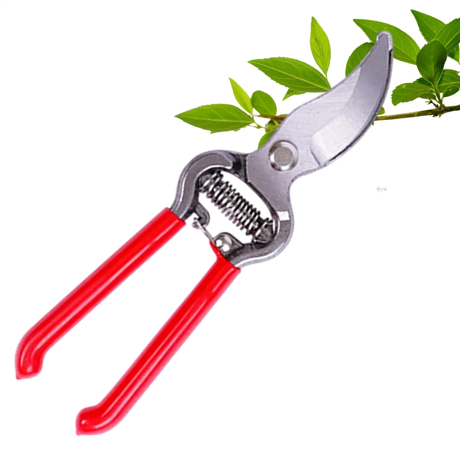 Plant Shears Potted Plant Hand - Pruning Shears ulasan dan harga